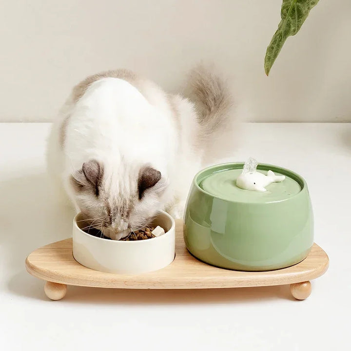 Bol pour chat en céramique verte et beige avec support en bois, design moderne et fonctionnel.