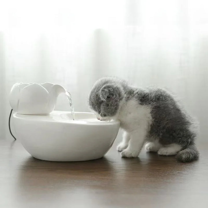 Fontaine pour chat en céramique blanche avec un design de fleur, idéale pour l'hydratation des animaux.