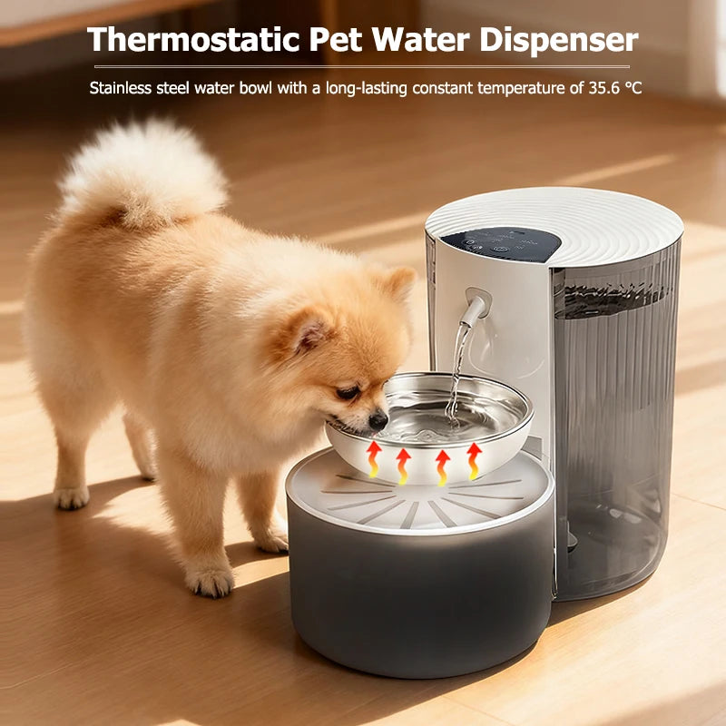 Distributeur d'eau thermostatique en acier inoxydable pour animaux, température constante de 35,6 °C.
