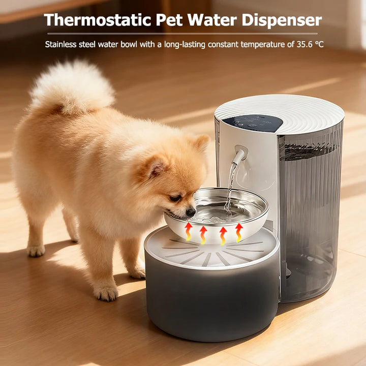 Distributeur d'eau thermostatique en acier inoxydable pour animaux, température constante de 35,6 °C.