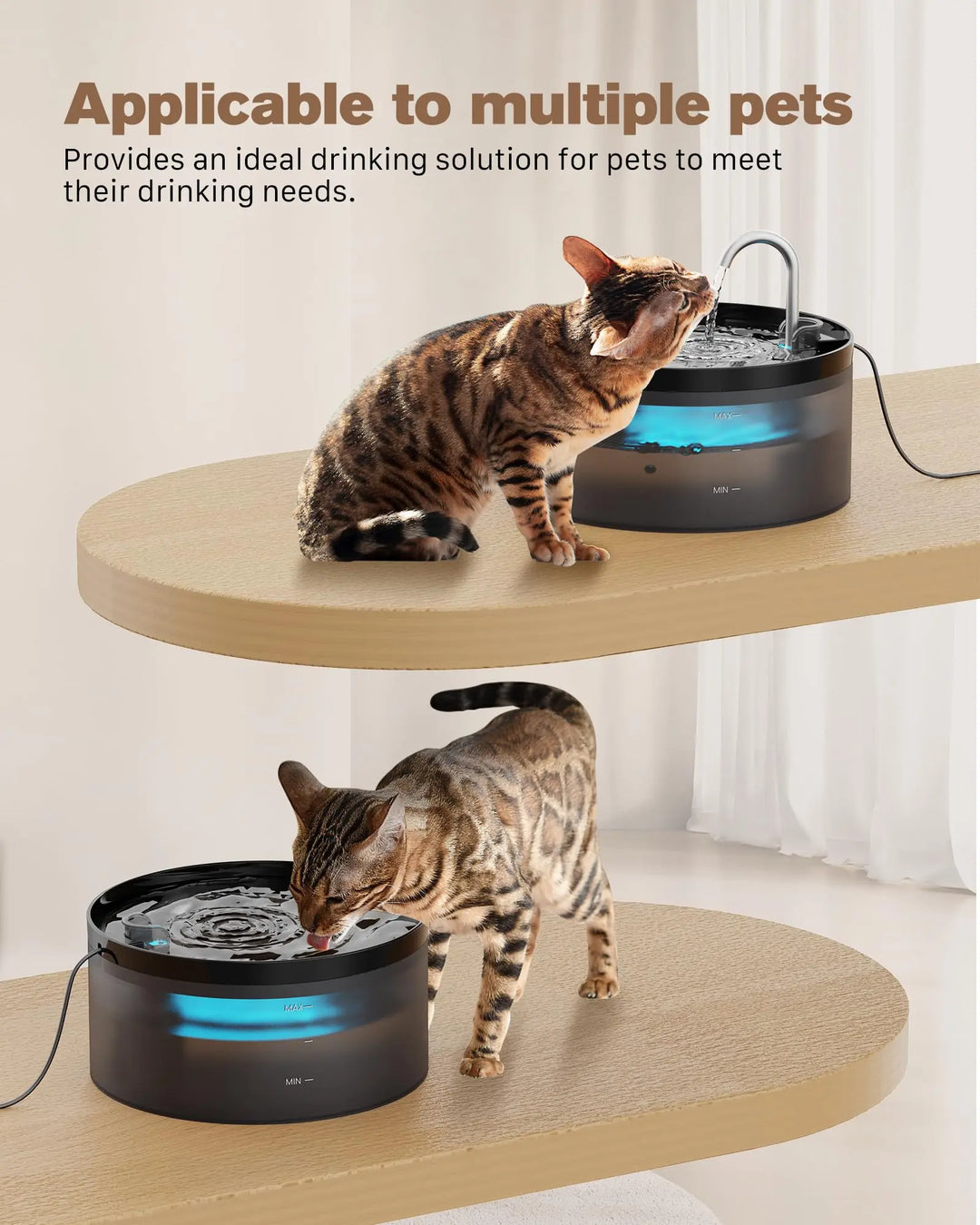 Fontaine à eau pour animaux, en plastique noir, idéale pour chats et chiens, avec éclairage LED.