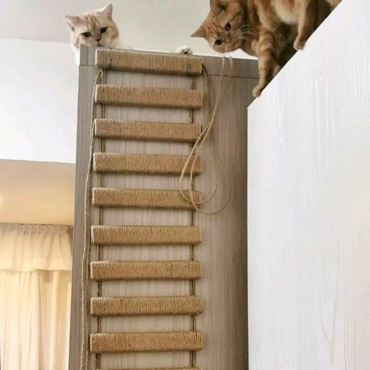 Suspension Bridge / Ladder for Adventurous Cats - Acrobatix Model