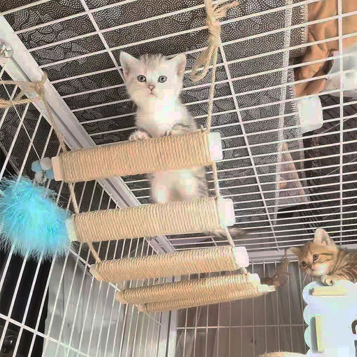 Suspension Bridge / Ladder for Adventurous Cats - Acrobatix Model