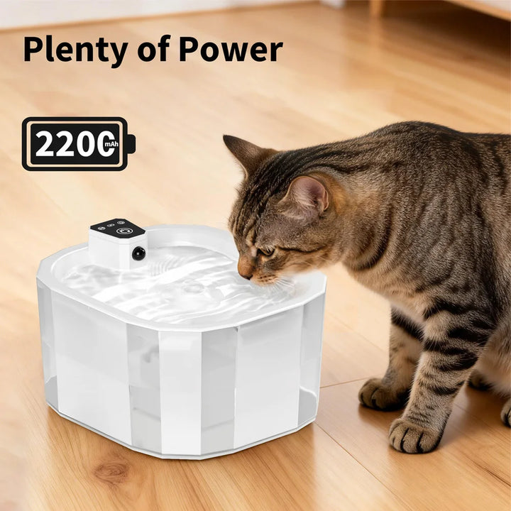 Fontaine à eau pour chat, blanche, rechargeable avec batterie 220 mAh, design octogonal.
