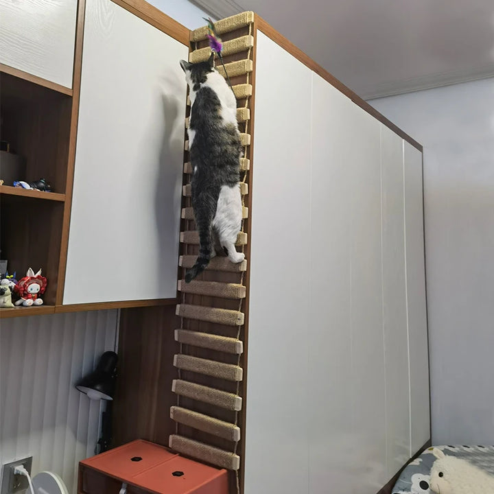 Suspension Bridge / Ladder for Adventurous Cats - Acrobatix Model