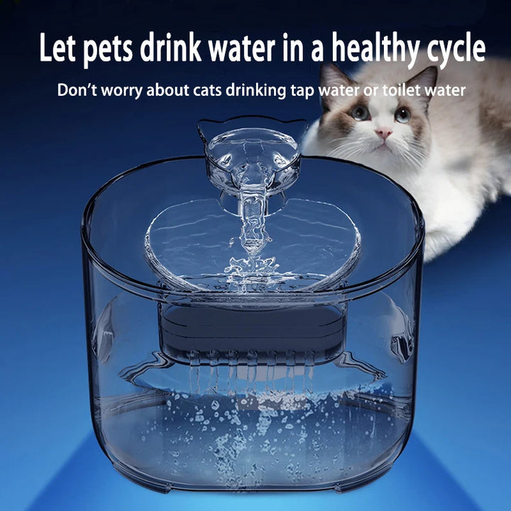 Fontaine à eau pour animaux, transparente, en plastique, favorise une hydratation saine des chats.