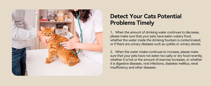 Chat roux chez le vétérinaire, vérification de la santé avec un stéthoscope, conseils de santé féline.