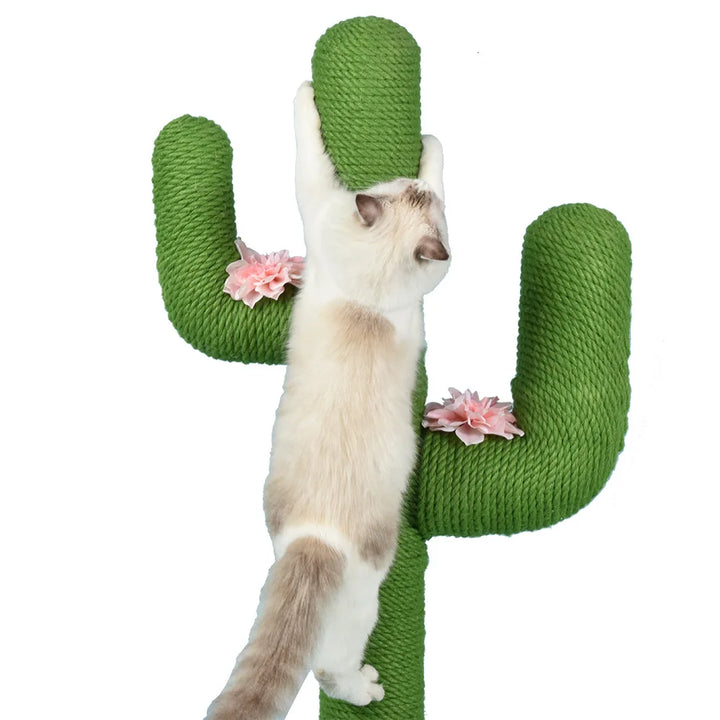 Kaktus-Kratzbaum - MiaouCactus