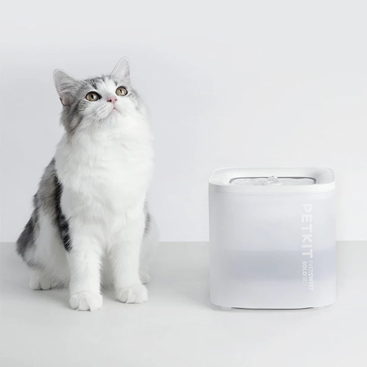 Distributeur d'eau PETKIT en plastique blanc avec un chat gris et blanc à côté.