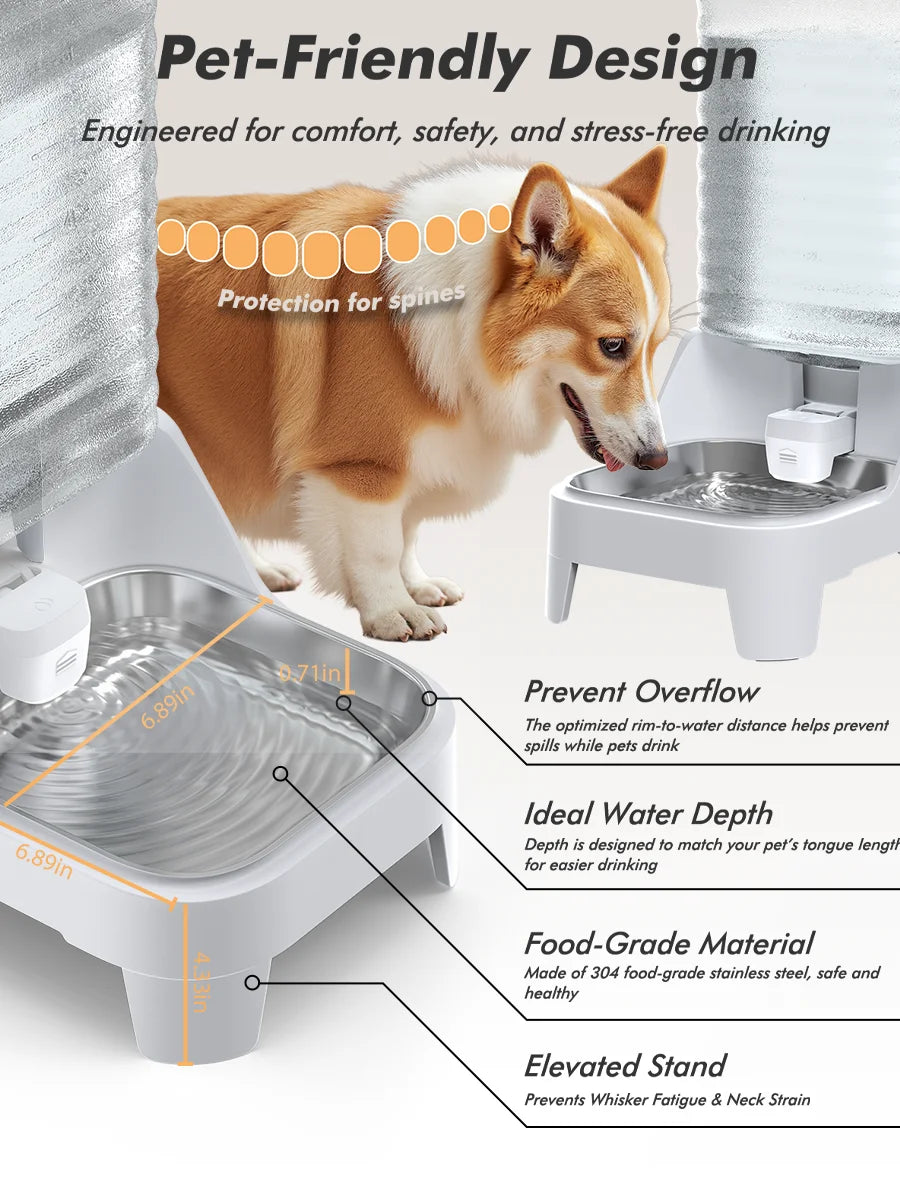 Distributeur d'eau pour animaux, en acier inoxydable, design surélevé, profondeur idéale, anti-débordement.
