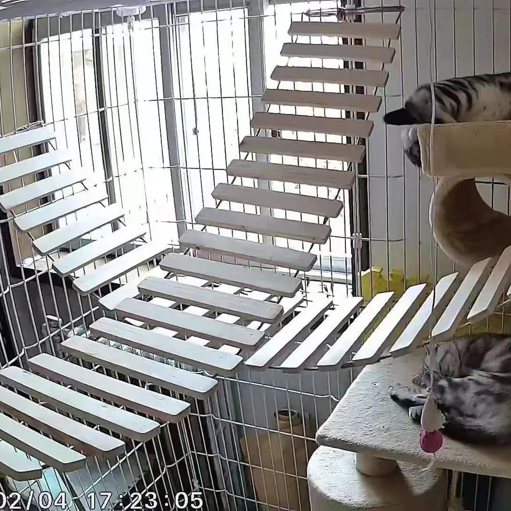 Cat ladder or suspension bridge