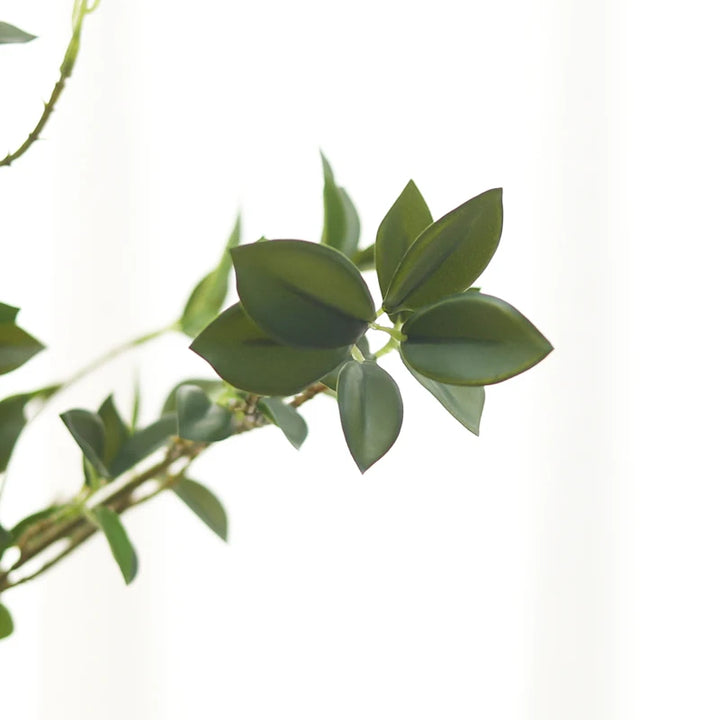 67 cm künstlicher Ficuszweig für selbstgemachten Kratzbaum – Modell „FicusPaws“