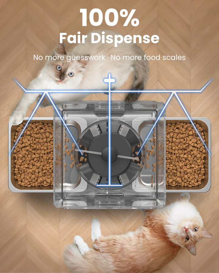 Distributeur de nourriture pour chat, transparent, système de distribution équitable, sans échelle.
