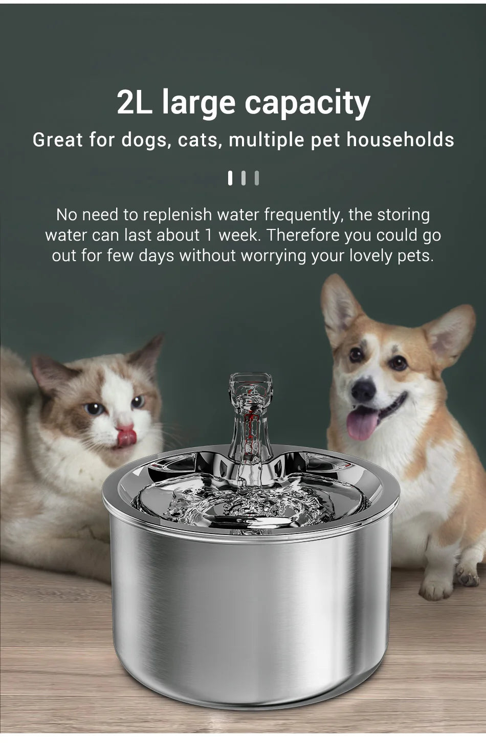 Fontaine à eau pour animaux 2L en acier inoxydable, idéale pour chiens et chats, capacité durable.