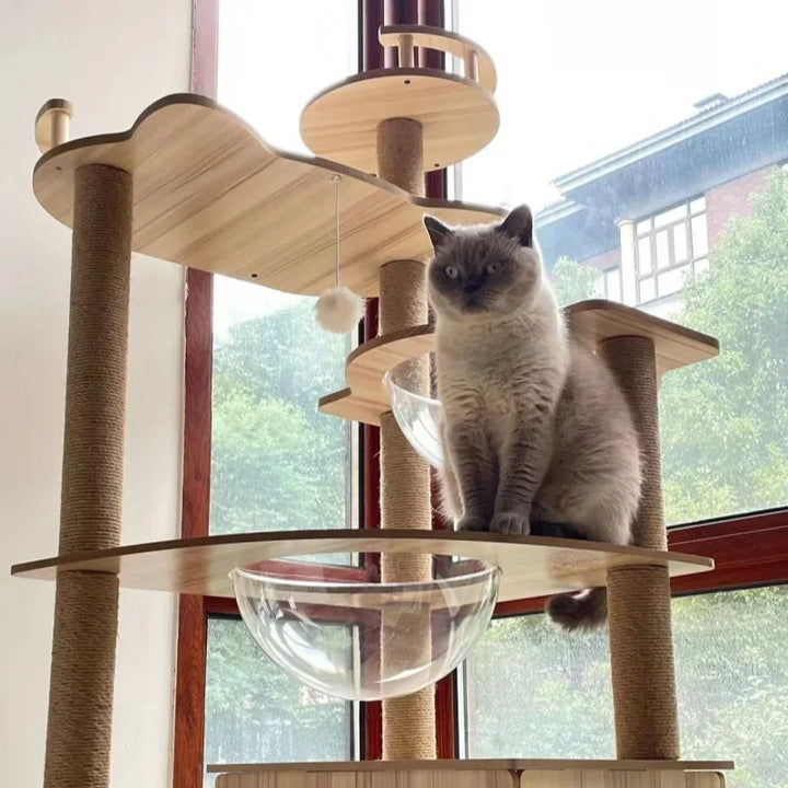 Arbre à chat multi-niveaux avec double niche et griffoirs en sisal