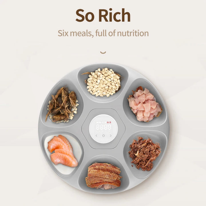 Distributeur de nourriture pour animaux, gris, six compartiments pour repas variés et nutritifs.