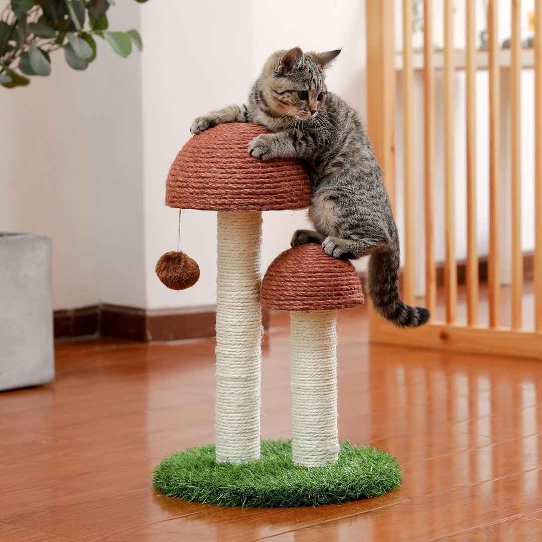 Cheap cat tree - Mushroom