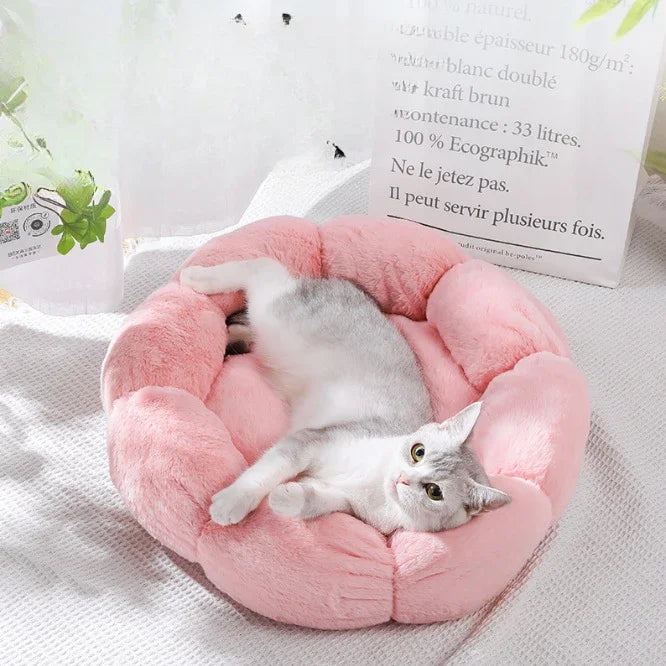 Cozy Cat Nest - "PurrNest" Model