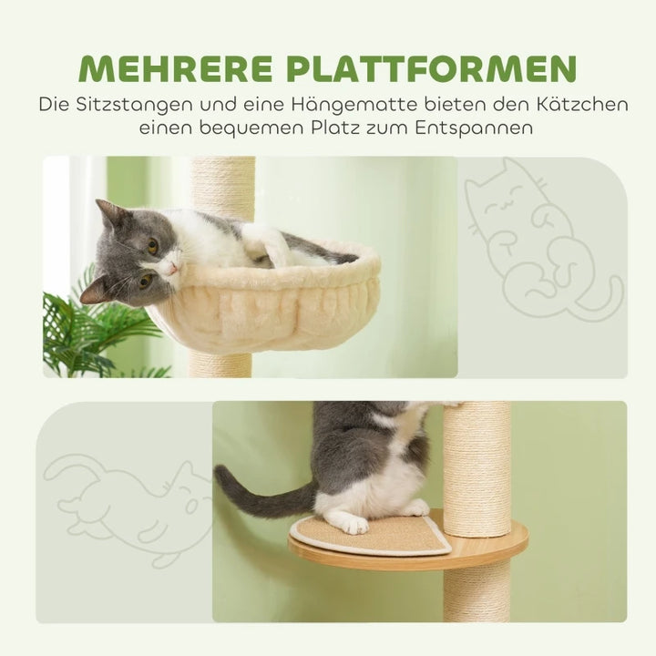 Arbre à chat sol plafond 230 cm en chêne et blanc crème
