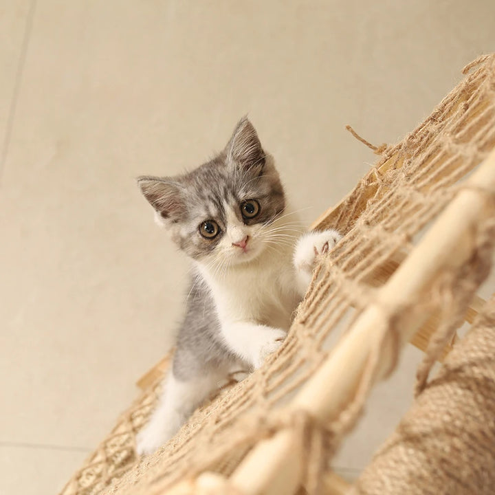 Multifunctional wooden cat tree with hammock - Model: "Aventurichat"
