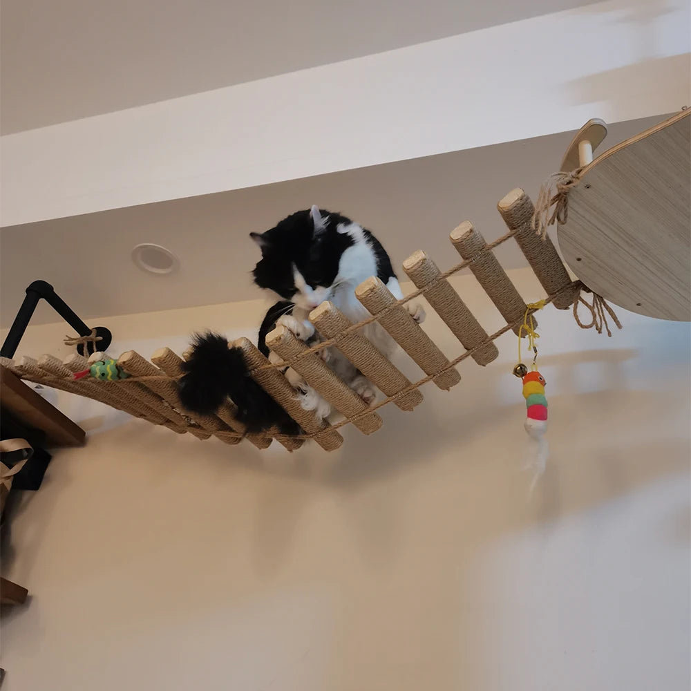 Wall-mounted cat tree - Suspension bridge - ChAventure