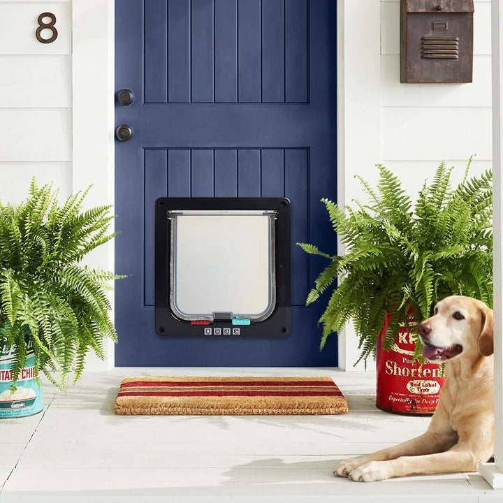 Chatière noire pour chien sur une porte bleue, avec tapis rayé et plantes vertes.