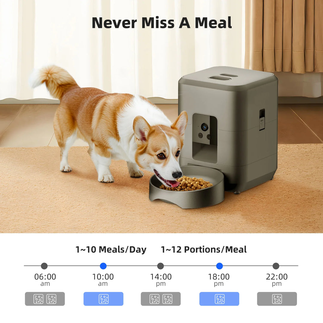 Distributeur automatique de croquettes gris pour chien, 1 à 10 repas/jour, 12 portions/maxi par repas.