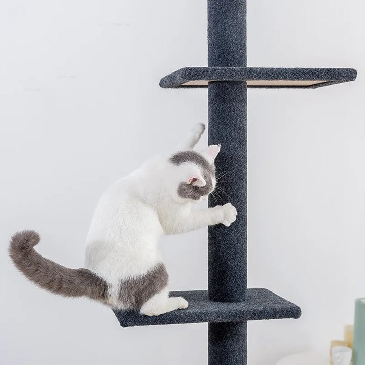 Maine Coon Cat Tree Adjustable from Floor to Ceiling - Model: "SkyTower"