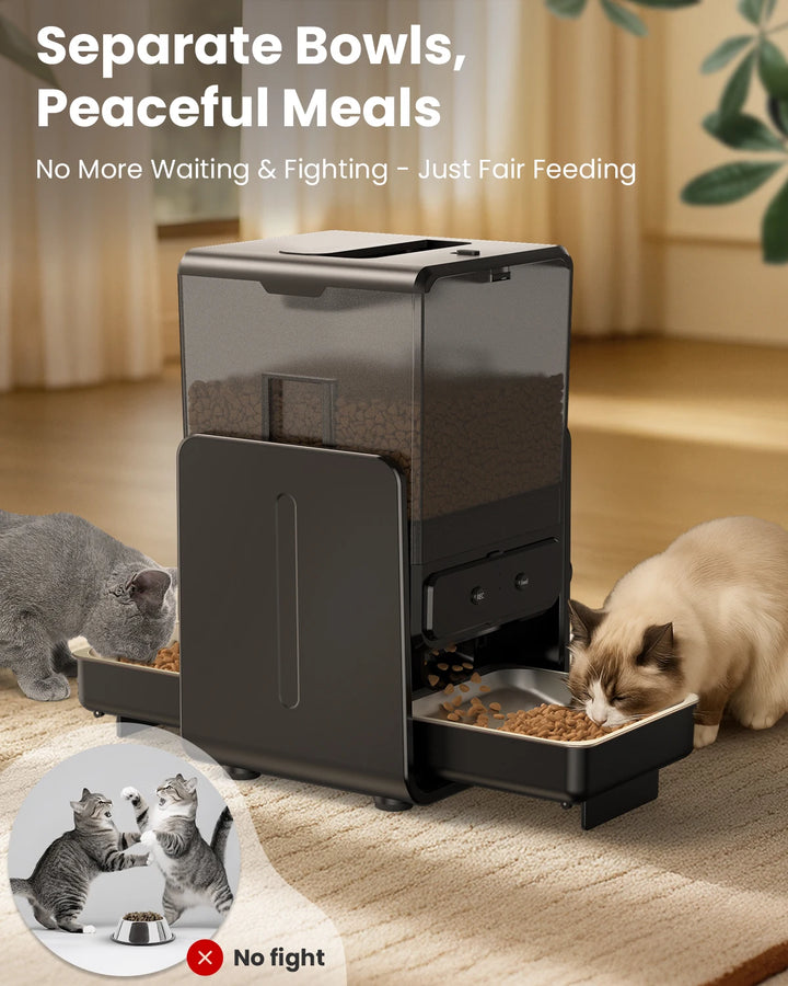 Distributeur automatique de croquettes pour chats, noir, avec bols séparés pour repas paisibles.