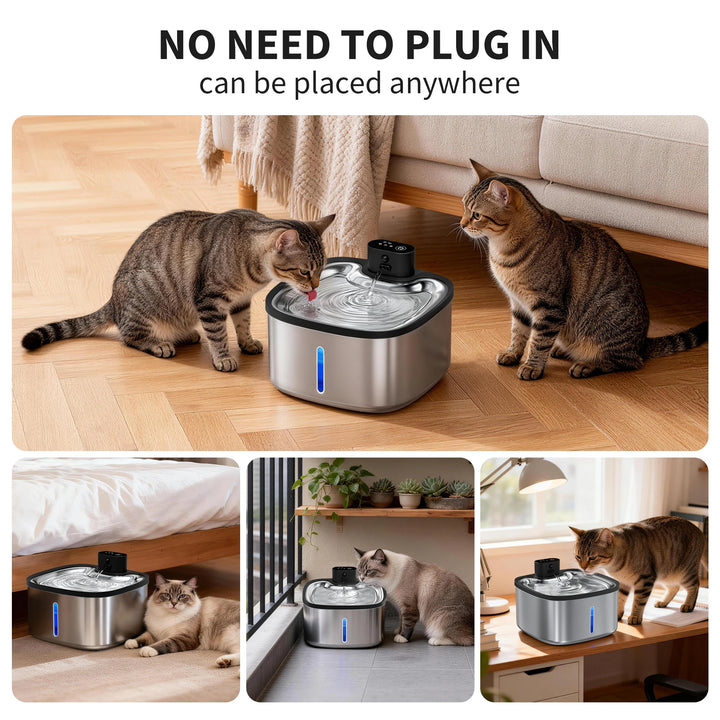 Fontaine à eau pour chats en inox, design sans branchement, pratique et mobile.