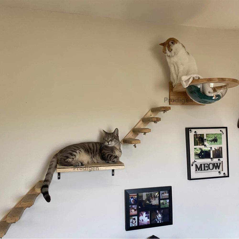 Wall-mounted cat tree - Space capsule - NidGrimpeur