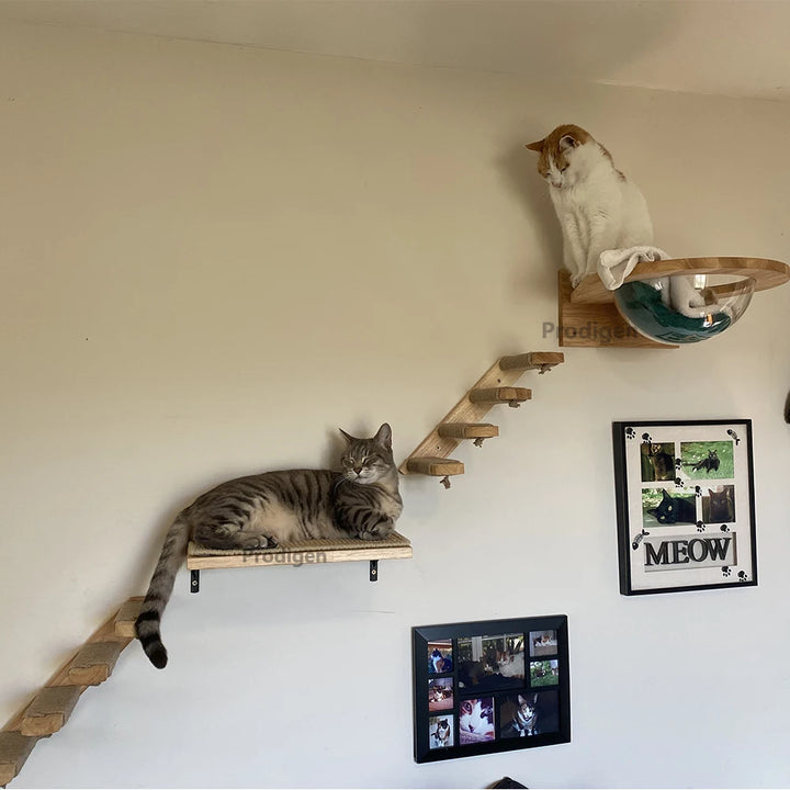 Wall-mounted cat tree - Space capsule - NidGrimpeur