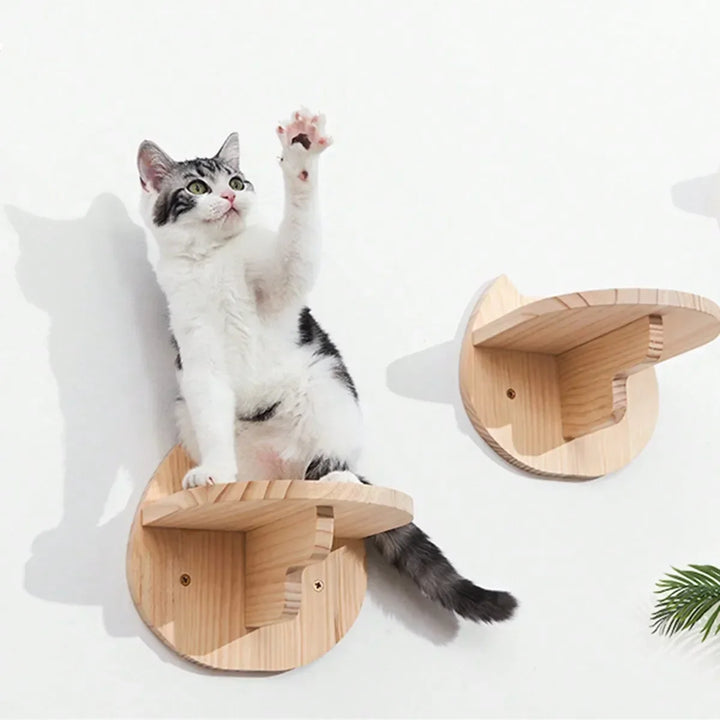 Wall-mounted cat tree - Perching platform - Ropes and wood
