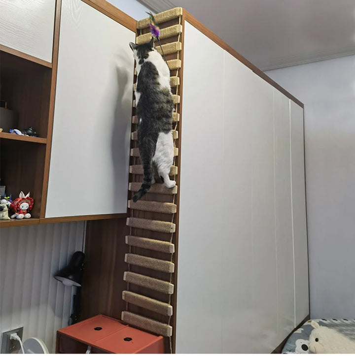DIY Katzenhängebrücke / Leiter - CatAventure Model
