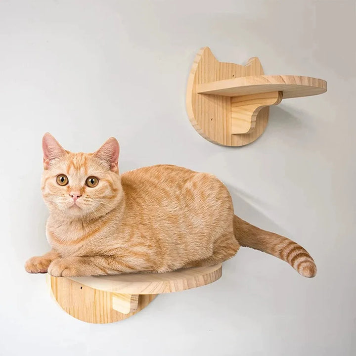 Wandmontierter Kratzbaum - Holz - Adventure - ForteresseFéline