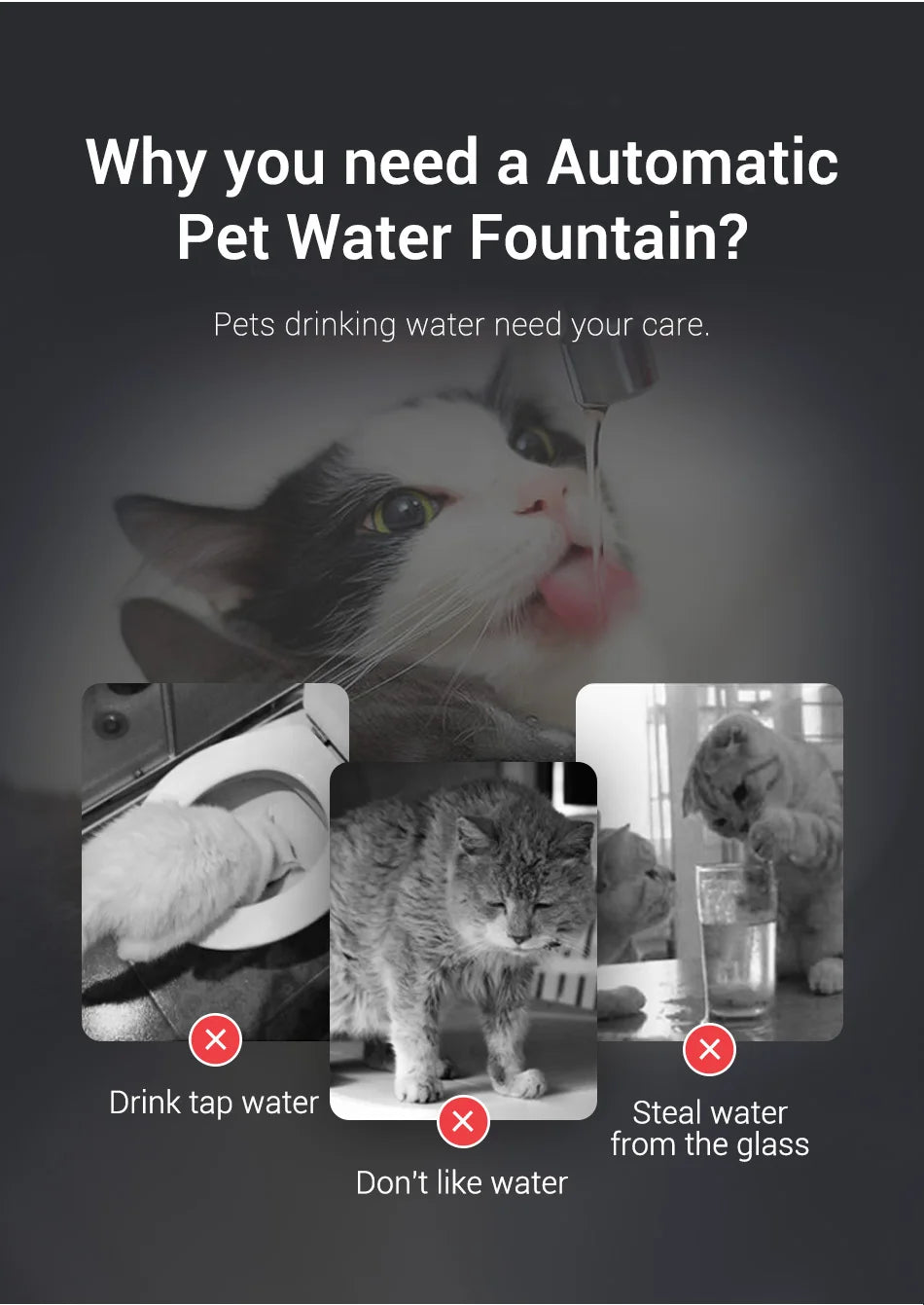 Fontaine à eau automatique pour animaux, design moderne, encourage l'hydratation de vos chats avec une circulation d'eau.