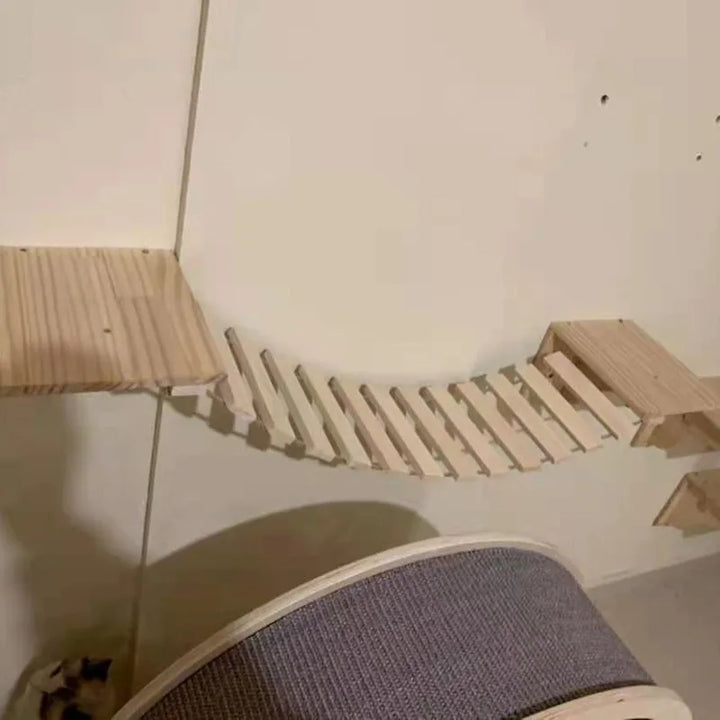 Cat ladder or suspension bridge