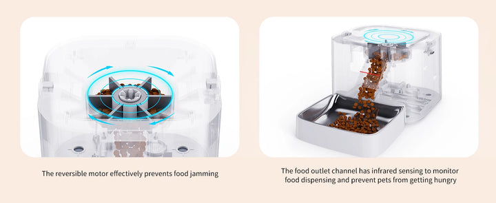 Distributeur de croquettes transparent, moteur réversible, capteur infrarouge pour nourrir les animaux sans blocage.