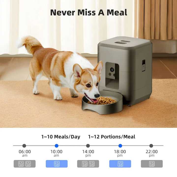 Distributeur automatique de nourriture pour chiens, couleur gris, régule 1-10 repas/jour.