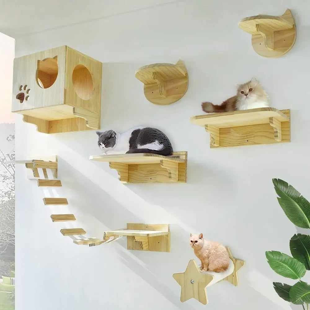 Wooden wall-mounted cat tree with transparent tube - MerveillesMurales