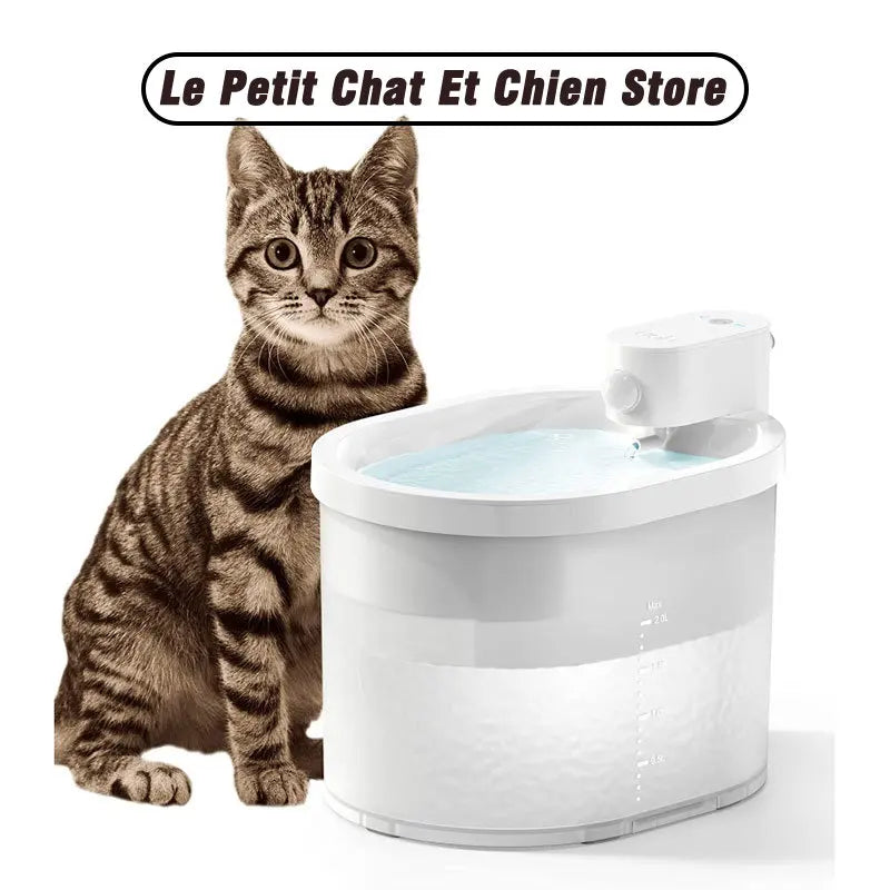 Fontaine à eau pour chat, blanche, en plastique, avec réservoir généreux et circulation d'eau fraîche.