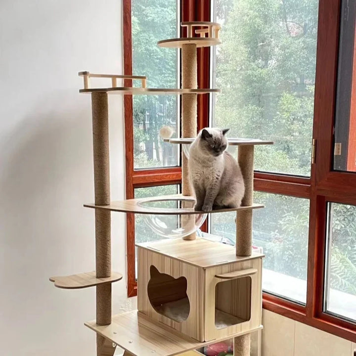 Arbre à chat multi-niveaux avec double niche et griffoirs en sisal