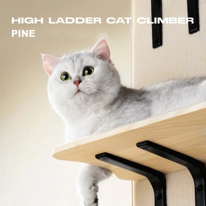 Wall-mounted cat tree - For door (No drilling required)