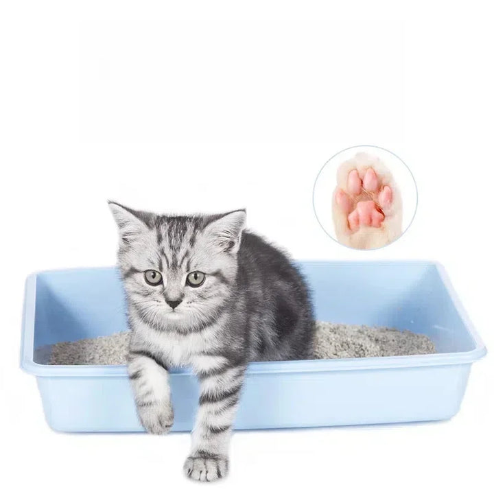 Litière Mixte Tofu & Bentonite – Modèle "HybridClean Ultra"