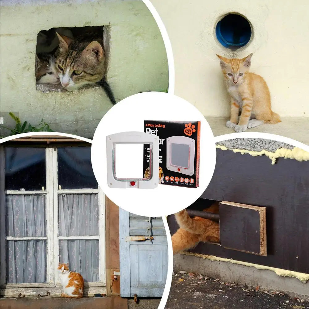 chatière pour chat