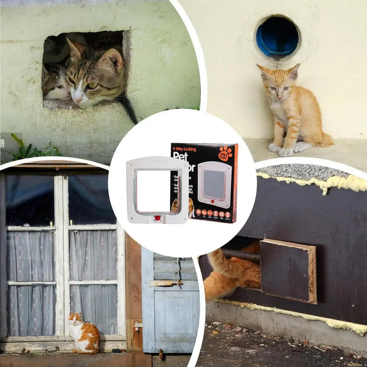 chatière pour chat
