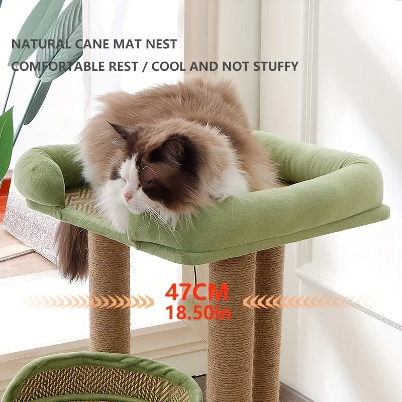 Arbre a chat bois et sisal design - Modèle : ChicCat