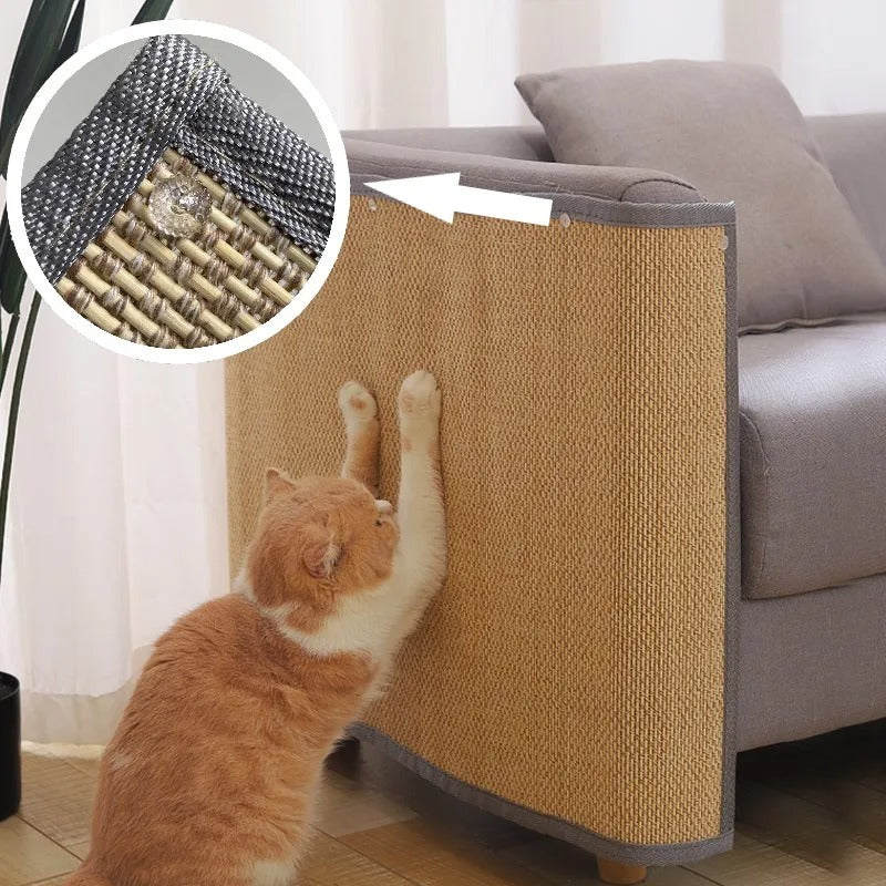 griffoir pour chat protection canapté