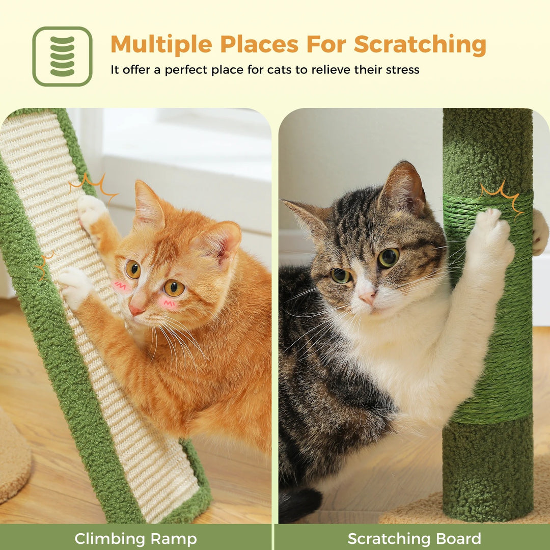 Arbre a Chat Confortable - Modèle "SunnyPaws"