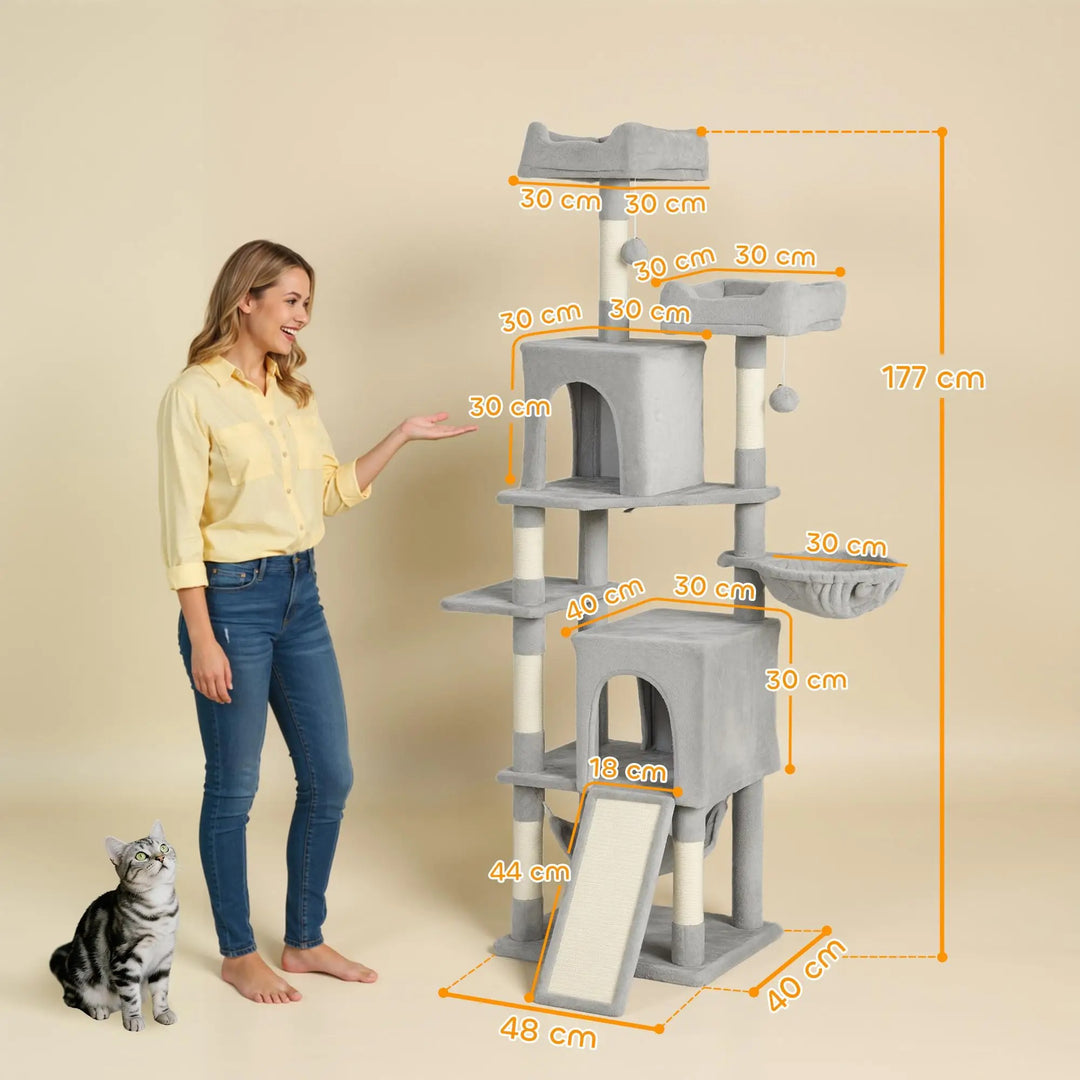 arbre à chat gris